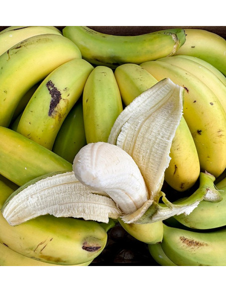 Acheter des Bananes des Canaries en ligne sur Tropitop