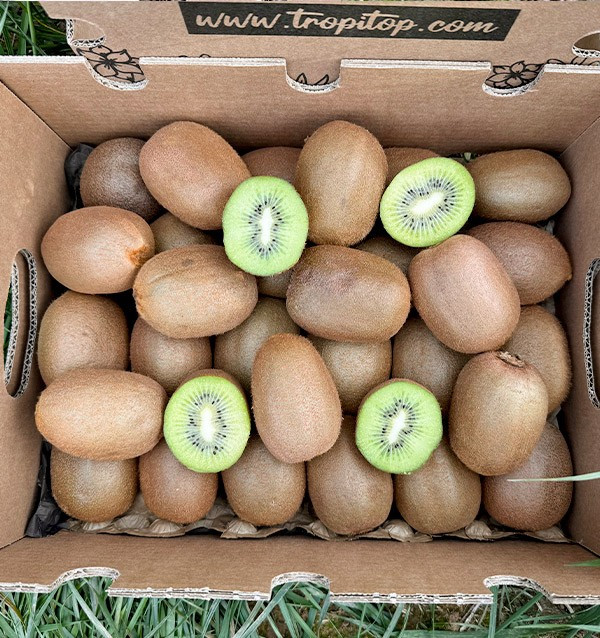 Acheter Kiwi Vert en ligne chez Tropitop