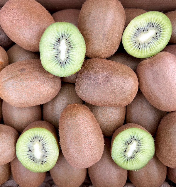 Acquista Kiwi Verde Online su Tropitop