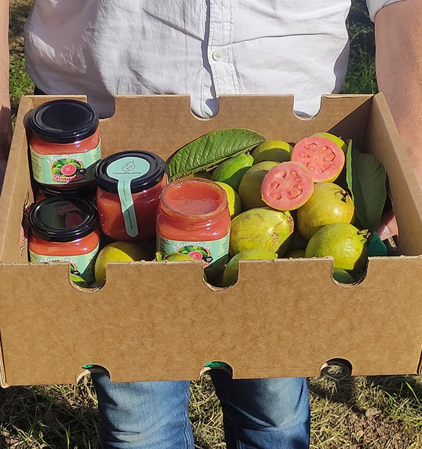 Buy Natural Guava Jam | Handmade & Organic | Tropitop