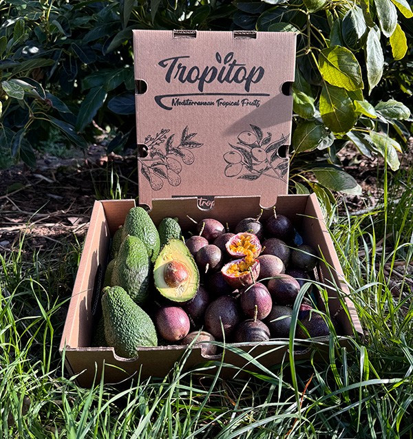 Comprar Fruta de la Pasión y Aguacates Hass | Frescura y Sabor Exótico en Tropitop