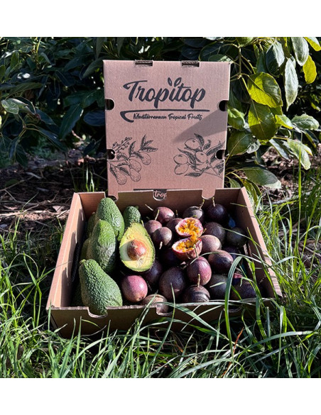 Compre Maracujá e Abacates Hass | Frescor e Sabor Exótico na Tropitop