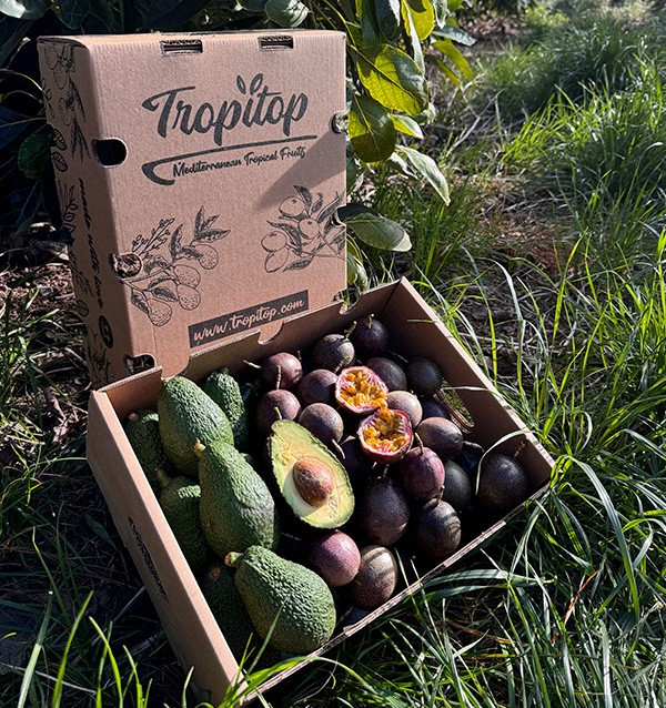 Acheter Fruit de la Passion et Avocats Hass | Fraîcheur et Saveurs Exotiques chez Tropitop 2
