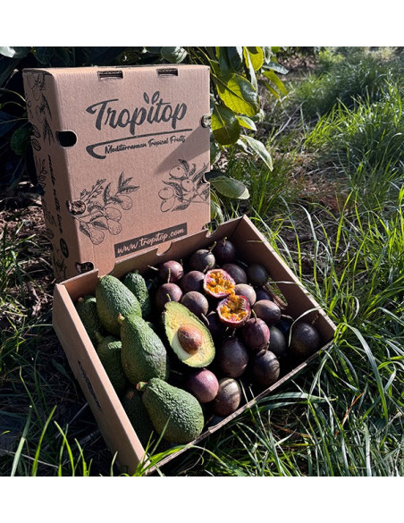 Acquista Frutto della Passione e Avocado Hass | Freschezza e Gusto Esotico su Tropitop