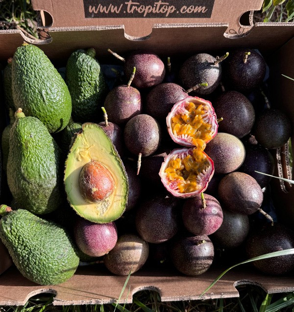 Acquista Frutto della Passione e Avocado Hass | Freschezza e Gusto Esotico su Tropitop