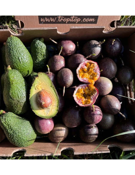Acheter Fruit de la Passion et Avocats Hass | Fraîcheur et Saveurs Exotiques chez Tropitop