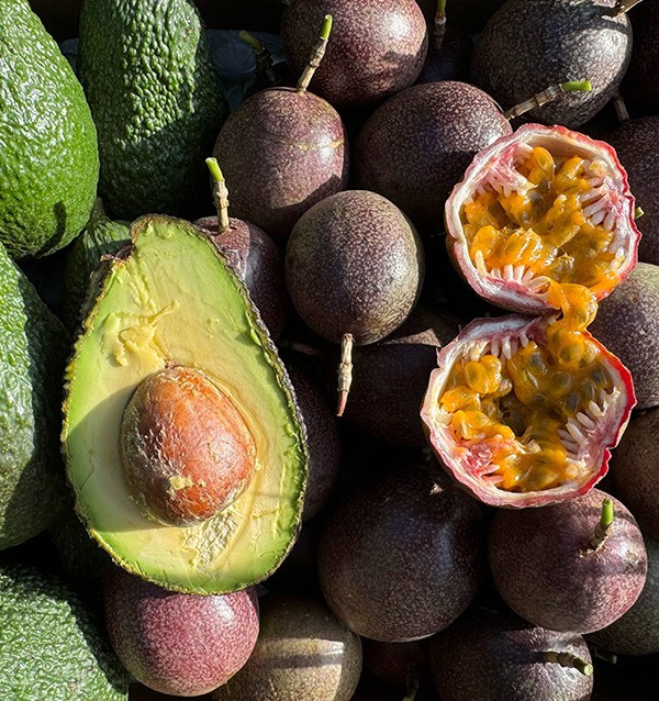 Compre Maracujá e Abacates Hass | Frescor e Sabor Exótico na Tropitop