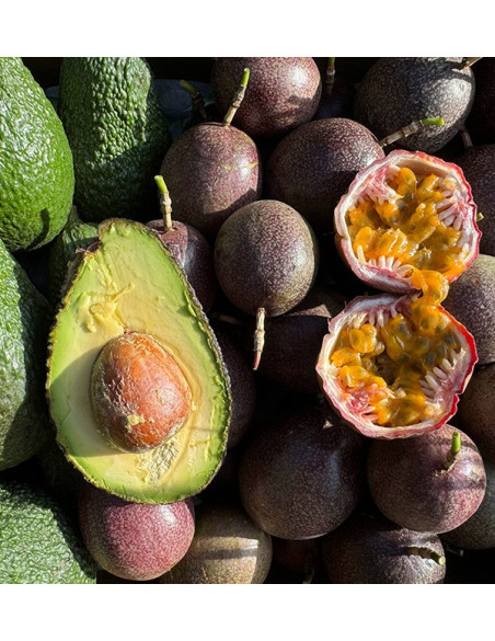 Acheter Fruit de la Passion et Avocats Hass | Fraîcheur et Saveurs Exotiques chez Tropitop
