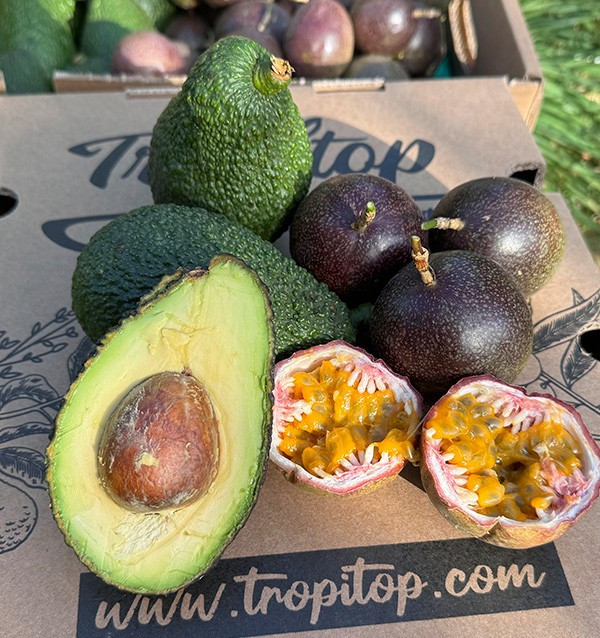 Passionsfrucht und Hass-Avocados kaufen | Frische & Exotischer Geschmack bei Tropitop