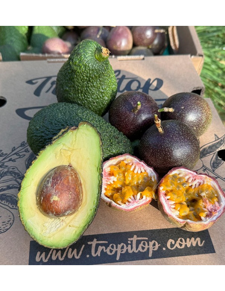 Comprar Fruta de la Pasión y Aguacates Hass | Frescura y Sabor Exótico en Tropitop
