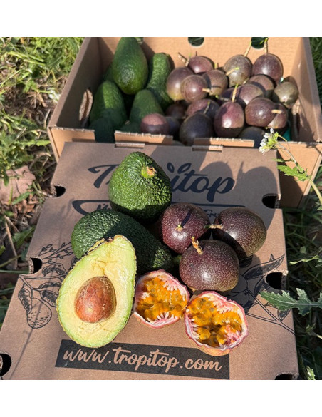 Acheter Fruit de la Passion et Avocats Hass | Fraîcheur et Saveurs Exotiques chez Tropitop