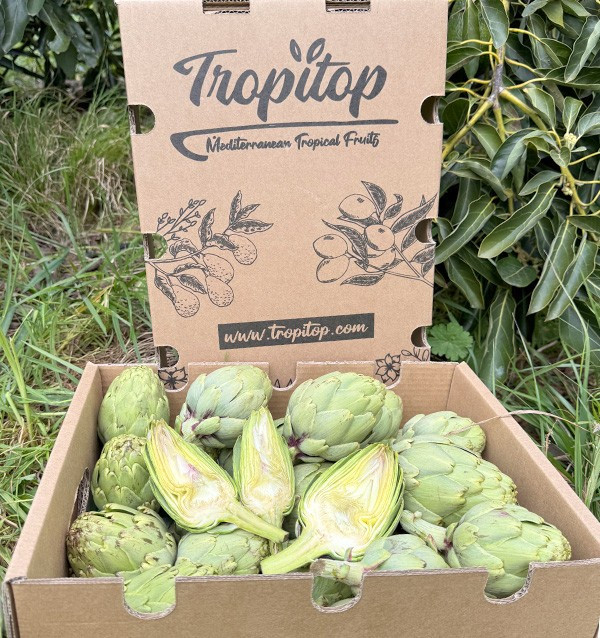 Acheter des artichauts valencians en ligne chez Tropitop