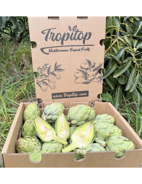 Comprare Carciofi Valenciani Online su Tropitop