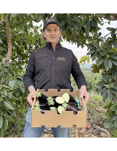 Acquista Melanzana Nera Online su Tropitop