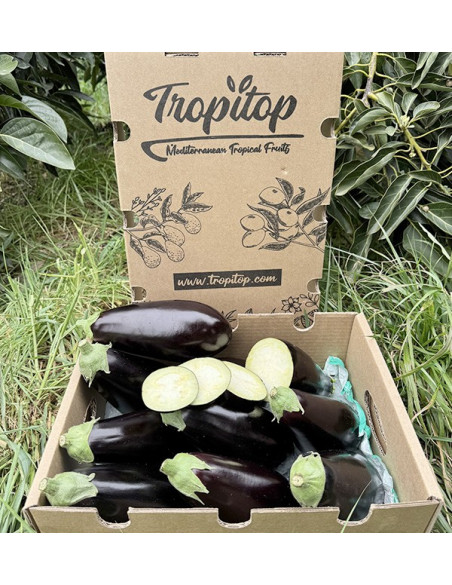 Acheter Aubergine Noire En Ligne chez Tropitop