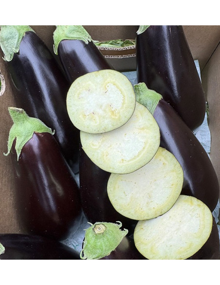 Acheter Aubergine Noire En Ligne chez Tropitop