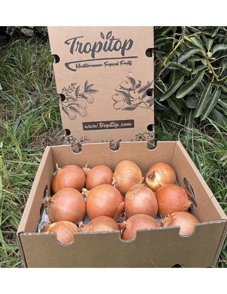 Buy White Dried Onions Online at Tropitop