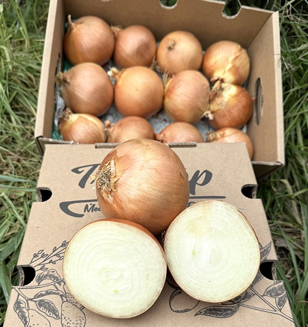 Comprar Cebollas Secas Blancas Online en Tropitop