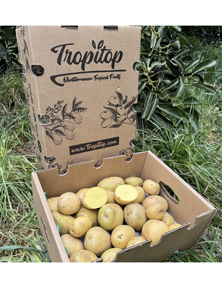 Comprar Batata Branca Nova Online em Tropitop