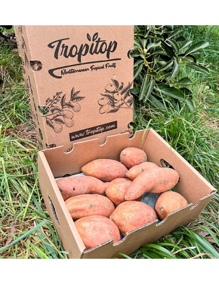 Acheter des Patates Douces en ligne sur Tropitop