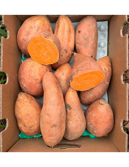 Buy Sweet Potatoes Online at Tropitop