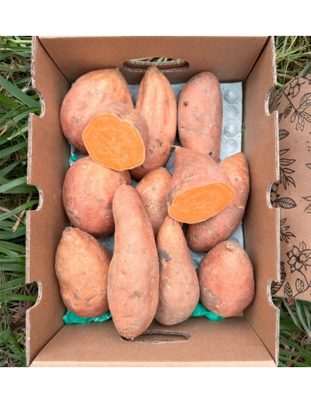 Acheter des Patates Douces en ligne sur Tropitop