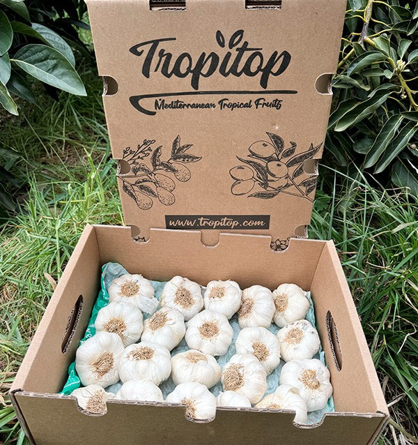 Comprar Alho Branco Online na Tropitop