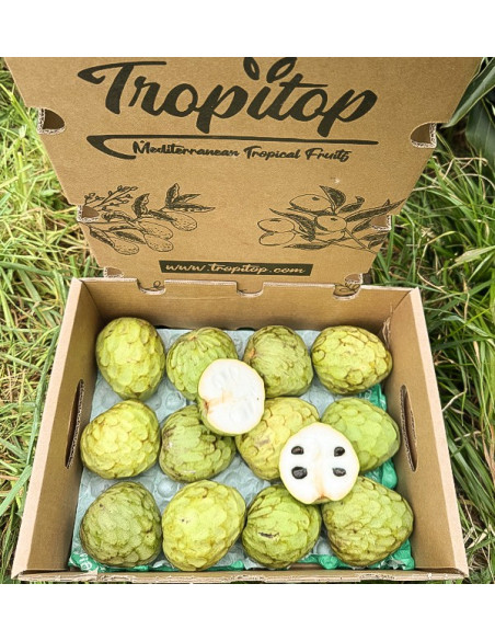 Buy Cherimoya Online at Tropitop