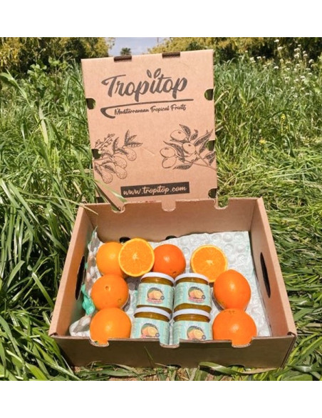 Comprar Geleia de Laranja Artesanal | Tropitop