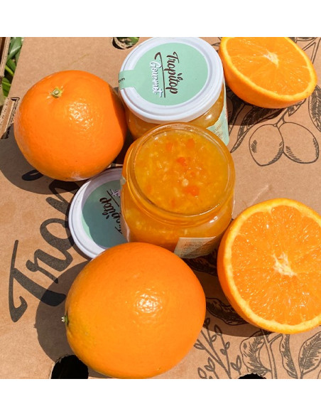 Comprar Geleia de Laranja Artesanal | Tropitop