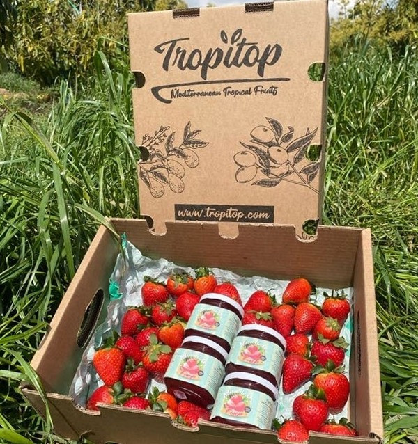 Handgemachte Erdbeermarmelade Kaufen | Tropitop