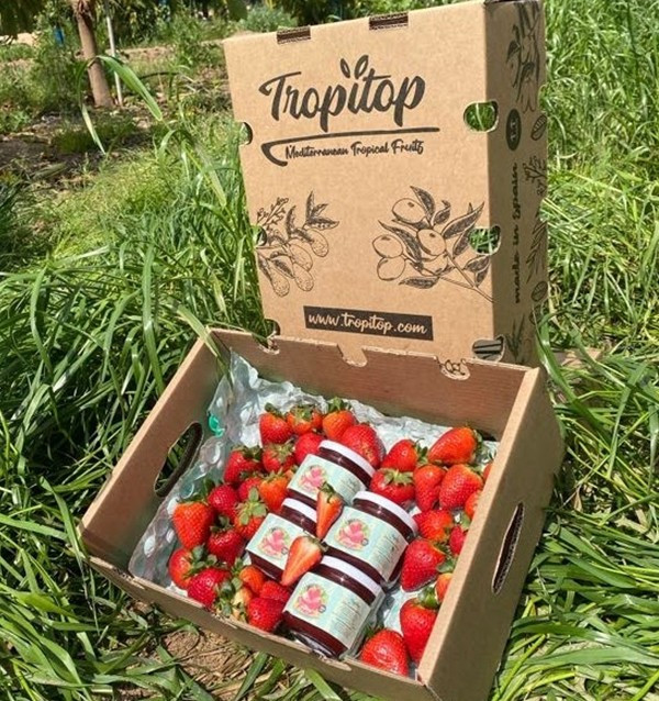 Buy Artisan Strawberry Jam | Tropitop