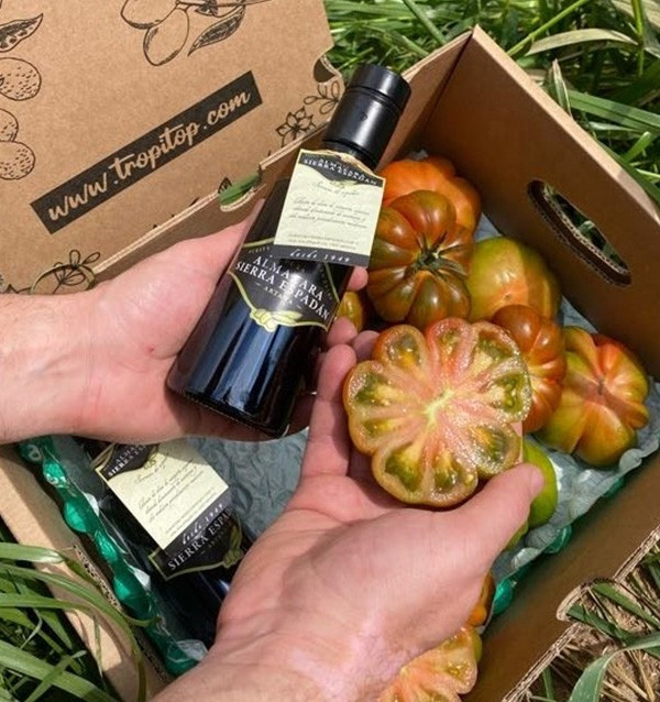 Pack Tomaten Raf und Olivenöl kaufen