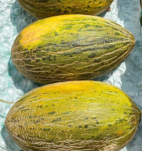 Compra online Melone verde spagnolo su Tropitop