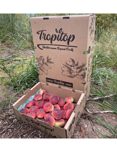 Acheter des Pêches Plates en Ligne | Fruits d'Été Frais