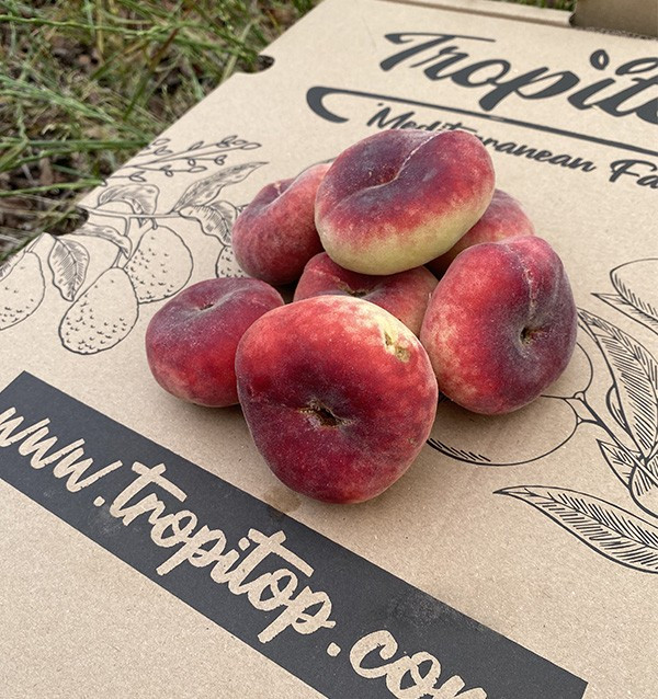 Acheter des Pêches Plates en Ligne | Fruits d'Été Frais