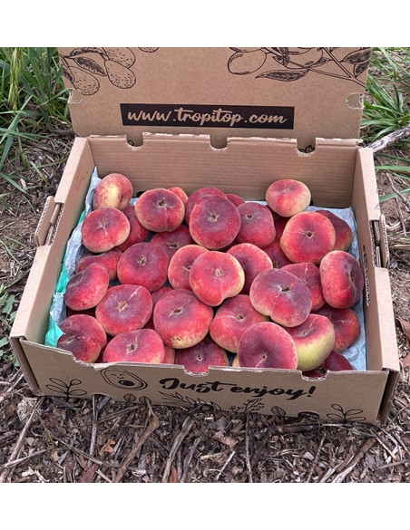 Acheter des Pêches Plates en Ligne | Fruits d'Été Frais