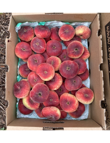Acheter des Pêches Plates en Ligne | Fruits d'Été Frais