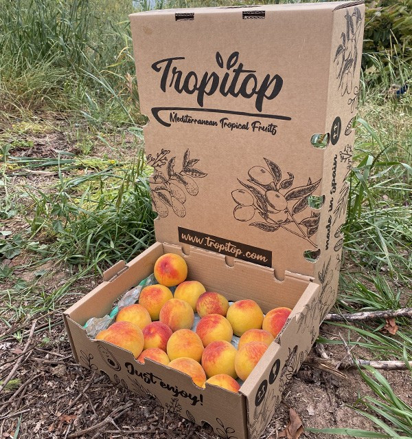 Buy Yellow Peaches Online | Seasonal Fruit Direct from the Farmer
