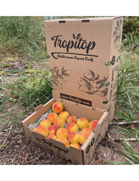 Comprar Pêssego Amarelo Online | Fruta Fresca de Época