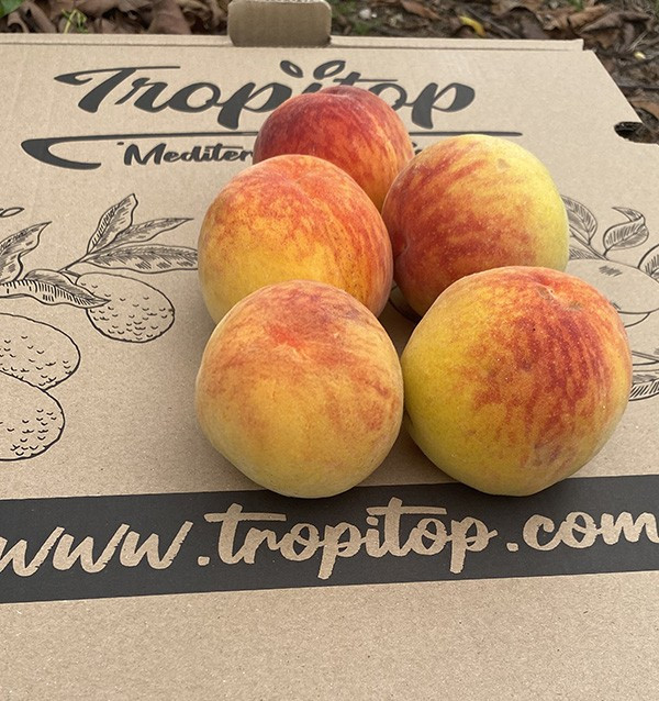 Comprar Pêssego Amarelo Online | Fruta Fresca de Época
