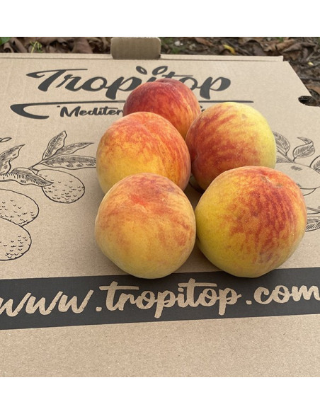 Comprar Pêssego Amarelo Online | Fruta Fresca de Época