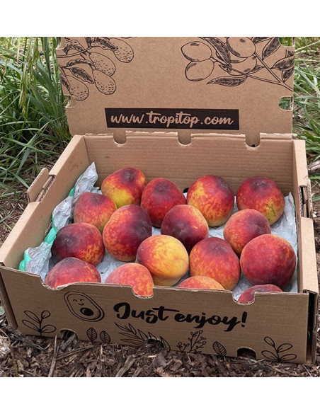 Acheter Pêches Rouges en Ligne | Fruits de Saison Direct Producteur