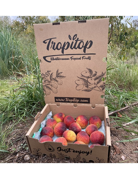 Acquista Pesche Rosse Online | Frutta di Stagione dal Produttore