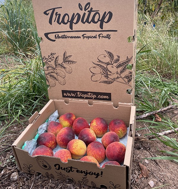 Acquista Pesche Rosse Online | Frutta di Stagione dal Produttore