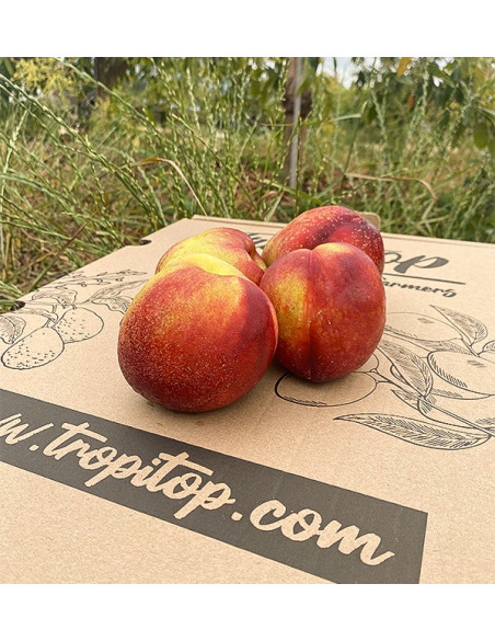 Acquista Nettarine Online | Frutta Estiva Direttamente dal Produttore