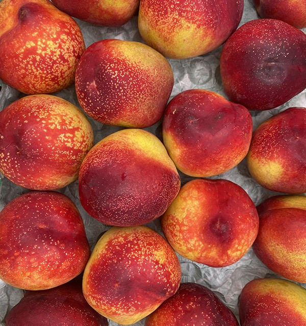 Comprar Nectarinas Online en Tropitop | Fruta de Verano Directa del Agricultor