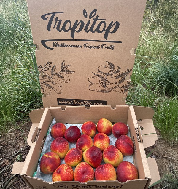 Acquista Nettarine Online | Frutta Estiva Direttamente dal Produttore