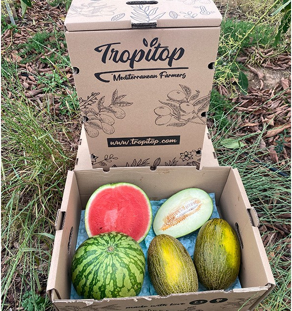 Compra Anguria Striata e Meloni Piel de Sapo Online | Tropitop