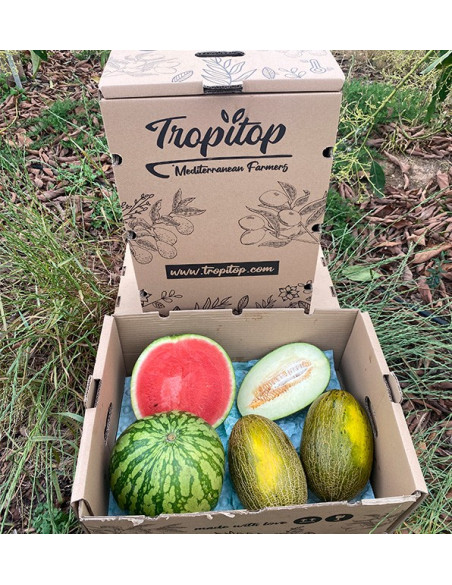 Gestreifte Wassermelone & Piel de Sapo Melonen online kaufen | Tropitop